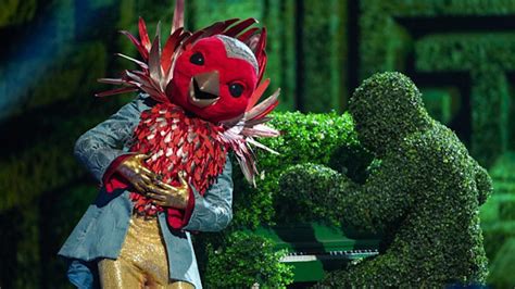 the masked singer bookie|The Masked Singer: bookies convinced of these identities.